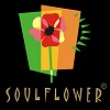 Soulflower Coupon Code