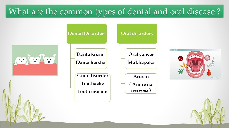 Mouth care dissertation 04 image