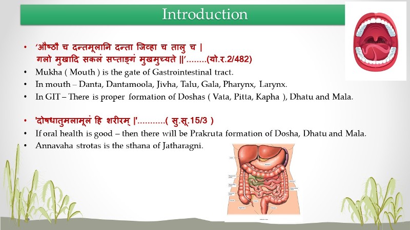 Mouth care dissertation 05 image